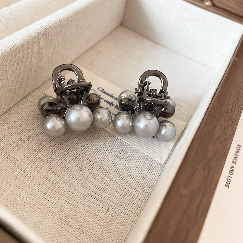 Frans Licht Luxe Nieuwe Mini I - Travel Accessories Aesthetic recensie en prijs
